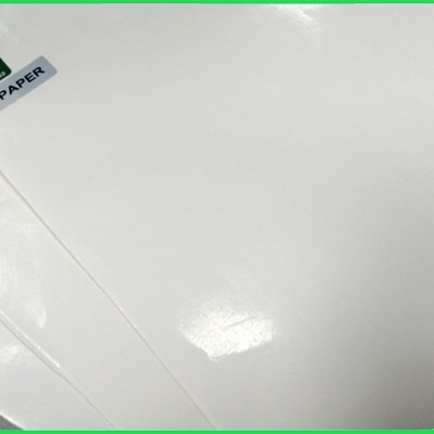 300gr 350gr Çevresel Isıtılabilir PE Kaplı Beyaz Kraft Kağıt Levha Bardak İçin