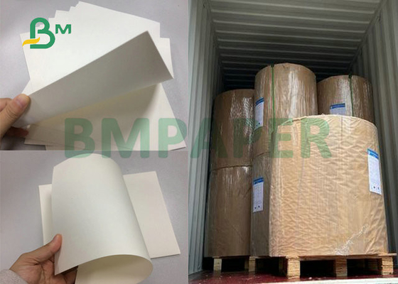 700 X 1000mm Kaplamasız 210gsm 230gsm Kağıt Bardaklar için Beyaz Cupstock Taban Kağıt Sayfası