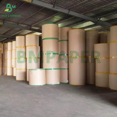 Gıda sınıfı Kraft 320gm + 20g PE kaplı kağıt Kahve fincanı için Yüksek toplu 900mm