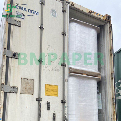 50gm Ahşap Pulp Beyazlanmış ve Beyazlanmamış Gıda Kaliteli Kahve Filtre Kağıdı 328mm