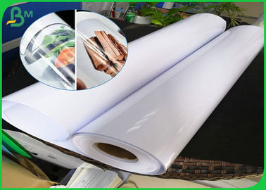 Su geçirmez karton kağıt rulo, 150 gsm 190gsm Pigment mürekkep için mat arka ile yüksek parlak RC fotoğraf kağıdı rulosu