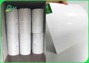 10gsm Yağa Dayanıklı PE ile 100gsm Beyaz Kraft Kağıt Rulo İçinde Ağartılmış Kraft Kağıt