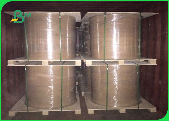 FSC Belgeli Yağ ve Su Geçirmez PE Yapraklı Levhalar