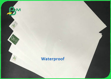 Baskı Defteri İçin Suya Dayanıklı 140g 160g 300mm * 500m Taş Kağıt