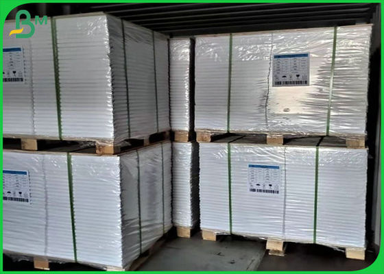 FSC Sertifikası ile 70lb 80lb Beyaz Ofset Baskı Kağıdı Rulo