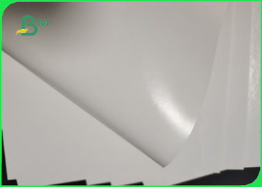 250gsm 300gsm PE Kaplama Beyaz Kağıt Tahtası Pizza Kutuları İçin Suya Dayanıklı