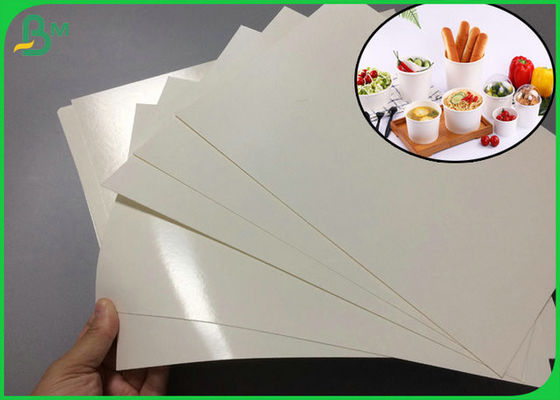 Kağıt Kase için 1 Taraflı Suya Dayanıklı 240gsm + 15gr PE Yüksek Beyazlık PE Kaplamalı Kağıt