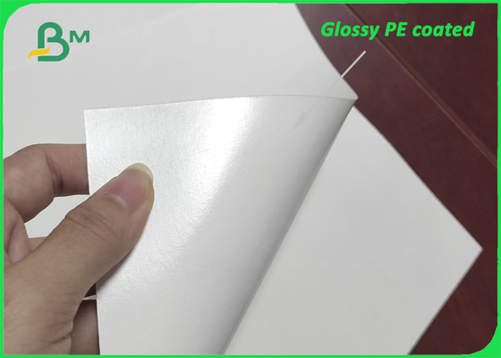 Kağıt Bardaklar İçin Parlak Tek Taraflı PE Film Kaplı Kağıt 280g + 15g PE