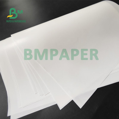 65gm Bira Etiketi İçin Tek Yan Kaplı Parlak Kağıt Yüksek Islak Gücü 50 x 70cm