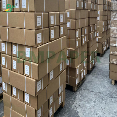 Mühendislik Dijital Baskı için 20LB Tek taraflı taslak kağıdı 610mm 914mm