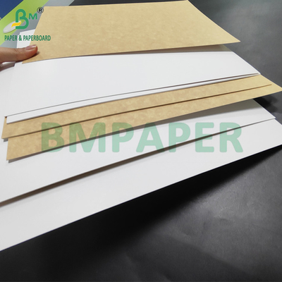 350gm CKB Beyaz Yüzey Kahverengi Kraft Arka Kağıt Salata Kutusu 25' x 38'
