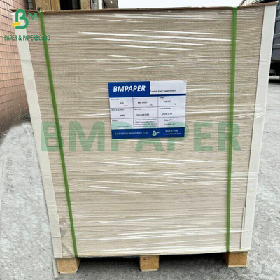 350gm CKB Beyaz Yüzey Kahverengi Kraft Arka Kağıt Salata Kutusu 25' x 38'
