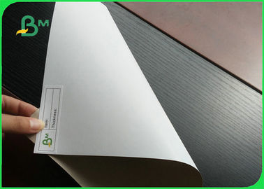 Sınıf AAA 350gsm Dubleks Kurulu CCNB / Kil Kaplamalı Ambalaj için Geri