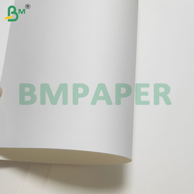 135-350 GSM Çift Boyutlu PE kaplı su geçirmez kağıt fincan ve kase için