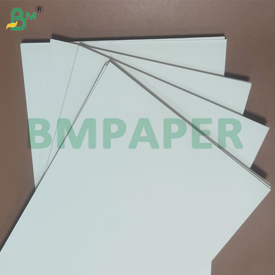 135-350 GSM Çift Boyutlu PE kaplı su geçirmez kağıt fincan ve kase için