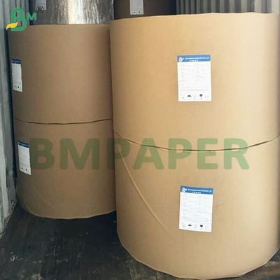 135-350 GSM Çift Boyutlu PE kaplı su geçirmez kağıt fincan ve kase için