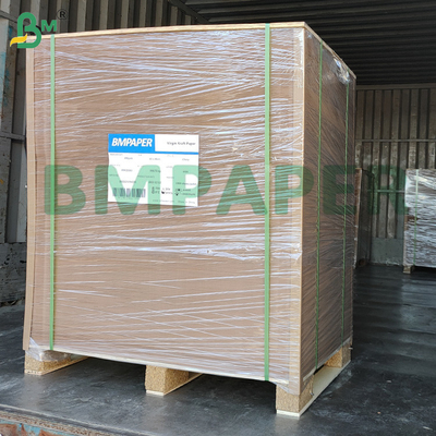 Plain Natural Brown Cup Base Kağıt 320g + 20g PE Kaplama Cupstock