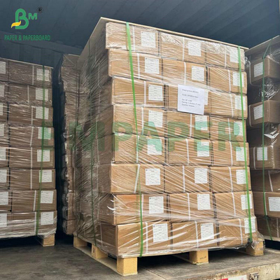 610mm x 50m A0 A1 80GSM Mor Mavi CAD Plotter Kağıt Rulo