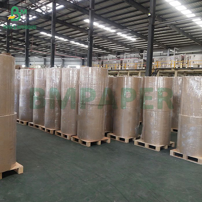 Jumbo Roll Yüksek Toplu 65gm 90um Termal Kağıt Lojistik Etiketi için 600mm