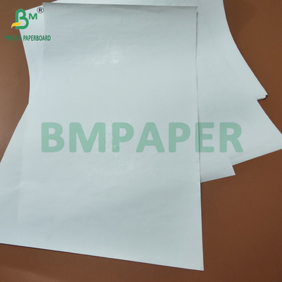 Jumbo Roll Yüksek Toplu 65gm 90um Termal Kağıt Lojistik Etiketi için 600mm