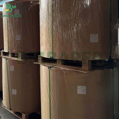 Biyolojik olarak ayrıştırılabilir 100gm - 400gm Doğal Şeker Çalı Bagasse Pulp Base Kağıt Rulo