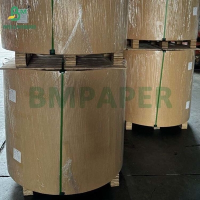Biyolojik olarak ayrıştırılabilir 100gm - 400gm Doğal Şeker Çalı Bagasse Pulp Base Kağıt Rulo