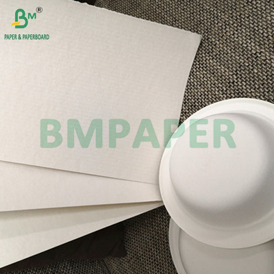Biyolojik olarak ayrıştırılabilir 100gm - 400gm Doğal Şeker Çalı Bagasse Pulp Base Kağıt Rulo