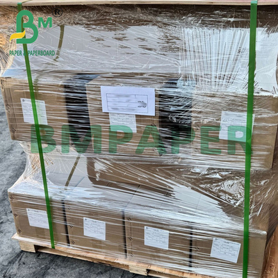 260g Su geçirmez Şeffaf Çift Taraflı reçine kaplama RC Fotoğraf Kağıdı