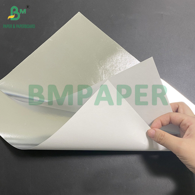 70gm Bira Şişesi Etiketleri için Metal Kağıt Gümüş Üst Beyaz Sırt 765mm
