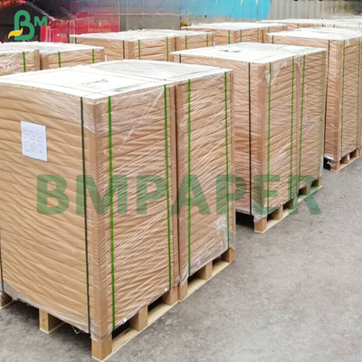 Gıda sınıfı 40gm yağ geçirmez renkli kek pişirme kağıdı levhaları