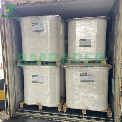 50gm Ahşap Pulp Beyazlanmış ve Beyazlanmamış Gıda Kaliteli Kahve Filtre Kağıdı 328mm