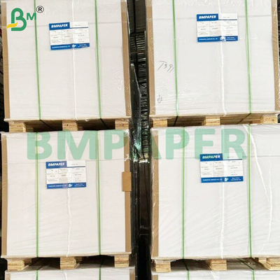 190gm+15gm PET kaplı fırın kullanımı için beyaz kraft kağıt levhaları