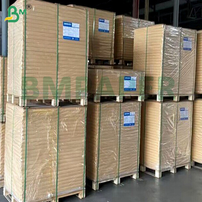 1073B 1059B Beyaz Isıyla Yapıştırılabilir Yüksek Bakteri Bariyerli Tıbbi Cihaz Blister Ambalajı için Dupont Kağıdı