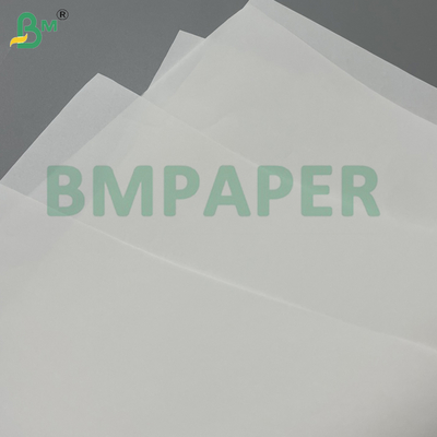 60gsm White Virgin Wood Pulp Offset Printing Paper Roll For Making Book