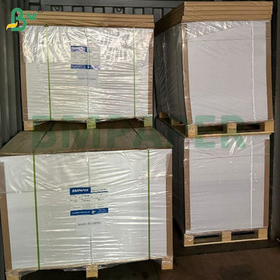 230g 275g Food Grade Lunch Paperboard Sheets 2S PE Coated Oil Resistant