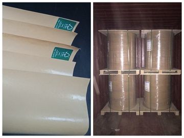 Bir Taraf PE Öğle Yemeği Kutusu FSC ve FDA Belgeli İçin Gıda Sınıfı Kağıt Rulo Kaplı