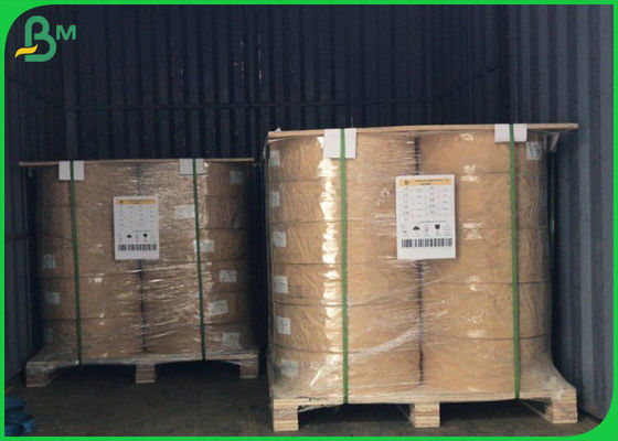 50gsm - 300gsm FDA FSC Food Grade PE Kaplı Kağıt Ambalaj Gıda İçin