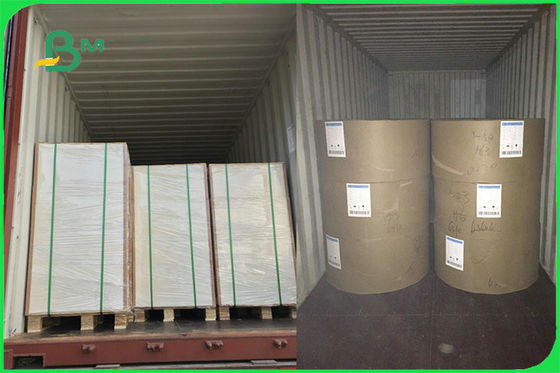 FSC FDA Beyaz Gıda Güvenli FBB Kurulu 15g PE Kaplı Kağıt Bardak Yapımı Için Özel