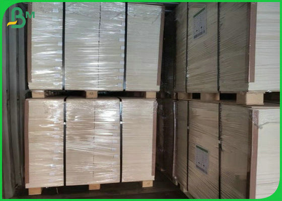 1.3mm 1.4mm Saf Pulp Beyaz Absorbent Blotter Kağıdı Bira Çamaşırlığı 24 x 36 inç