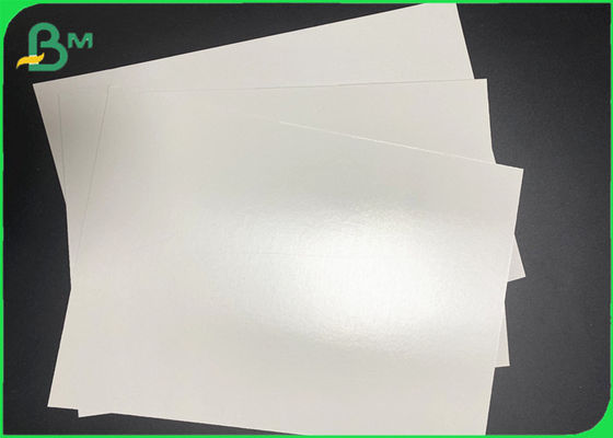 Sıcak İçecek Bardakları için Yağlı PE Kaplamalı Lamine Cupstock Kağıt Rulo