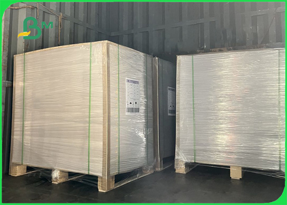 800gsm Tek Taraflı Beyaz Kil Kaplamalı Reklam Tabelası 1220 x 2100mm