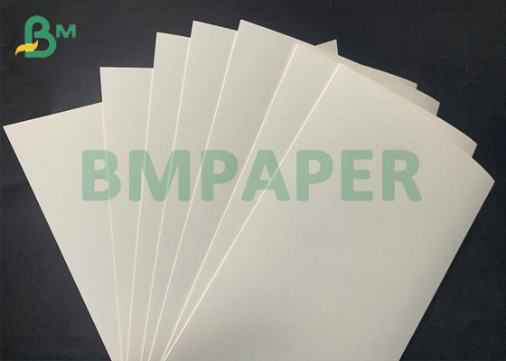 1107mm 15gsm PE Kaplamalı 280gsm 300gsm Bardak İçecekler İçin Kağıt Bardak