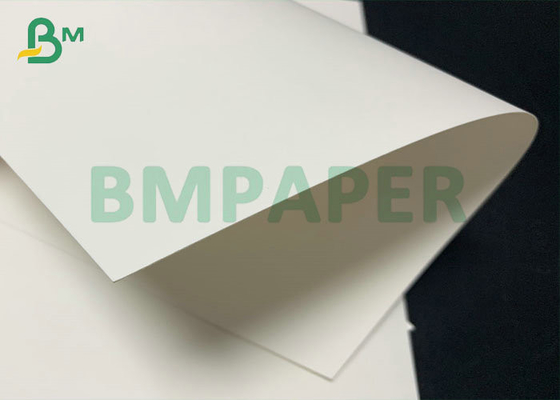 1107mm 15gsm PE Kaplamalı 280gsm 300gsm Bardak İçecekler İçin Kağıt Bardak
