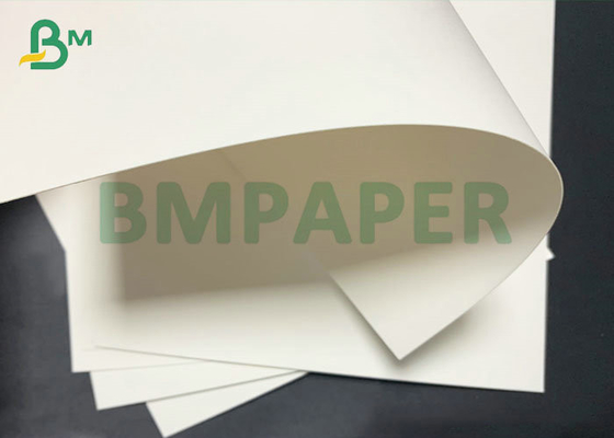 1107mm 15gsm PE Kaplamalı 280gsm 300gsm Bardak İçecekler İçin Kağıt Bardak