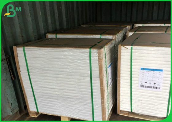 Yağlı ve Suya Dayanıklı 300g FBB, Öğle Yemeği Kutusu Yapmak İçin Tek PE ile