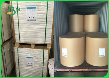 80gsm 100gsm Beyaz FSC Woodfree Kağıt, Ders Kitapları İçin Özelleştirilmiş Kaplanmamış