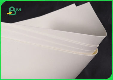 Biyobozunur 190gsm 210gsm Cupstock Taban Kağıdı, Gıda kasesi 720MM 860MM için
