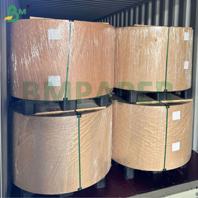 240gm 260gm Su geçirmez Kâğıt Kafe Kupaları 70cm 80cm Makara