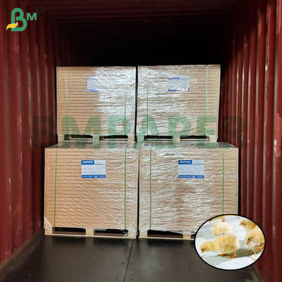 Beyaz Civciv Yetiştirme Kağıdı Kümes Hayvancılığı İçin 66cm 100cm