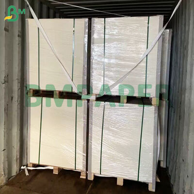 PET Kaplamalı Yemek Tabağı Kağıt Malzeme Beyaz Renk Gıda Tepsisi Kağıt